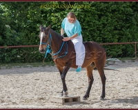 1-13JUIN 1116